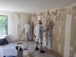 Best Crawl Space Mold Remediation  in St Pete Beach, FL